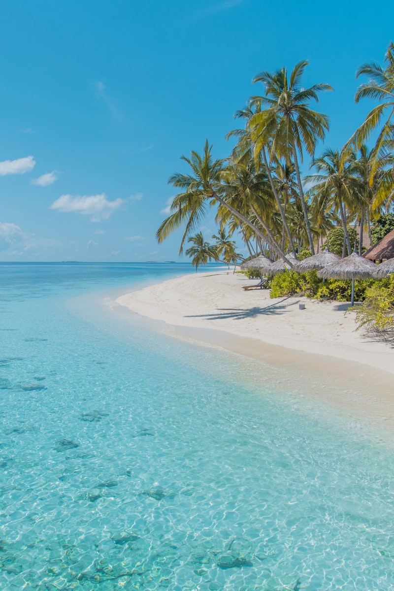 Sri Lanka dla 8 osób